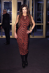 'Love & Mercy' Premiere, Berlinale 2015