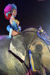 'Evolution' Weltpremiere im Circus Krone, München