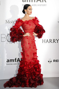 amfAR's Cinema Against Aids Gala, Cannes Film Festival 2016