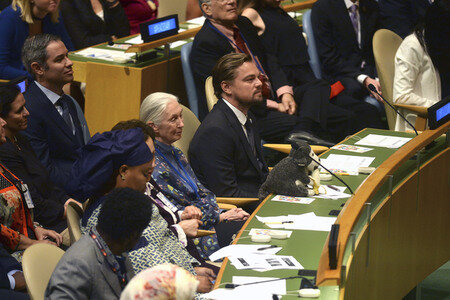 35. International Day of Peace bei der UN in New York