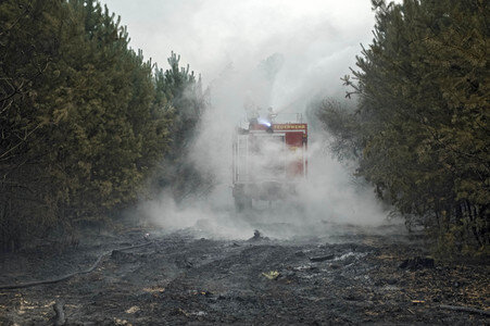 Waldbrandbekämpfung bei Treuenbrietzen
