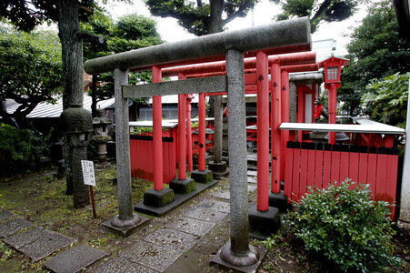 Sightseeing Tokio
