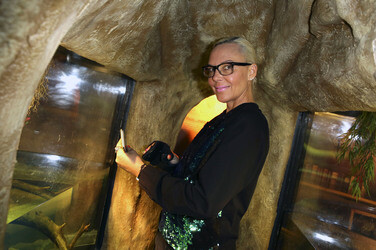 'Abenteuer Schildkröte' Opening im Sea Life, Berlin