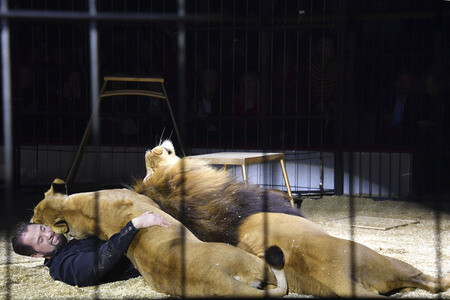 Circus Krone Premiere 'Ich.Du.Wir.Krone' in München