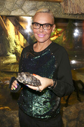 'Abenteuer Schildkröte' Opening im Sea Life, Berlin