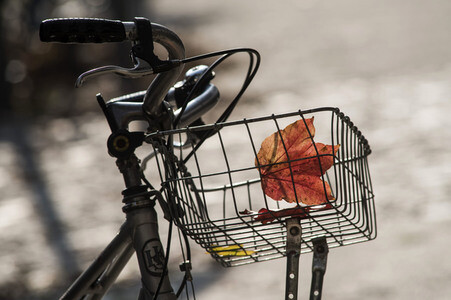 Symbolfoto Herbst