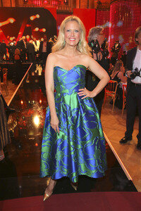 Romy Gala 2017 in Wien
