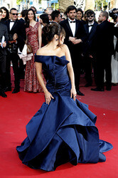 'Carol' Premiere, Cannes Film Festival 2015