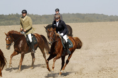 Rügen Cross Country 2014