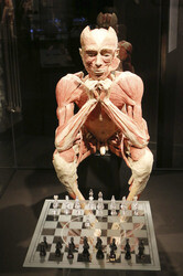 'Körperwelten - Eine Herzenssache' Pressekonferenz, Hamburg