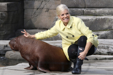 Walross Taufe im Tierpark Hagenbeck, Hamburg