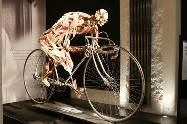 'Körperwelten - Eine Herzenssache' Pressekonferenz, Hamburg