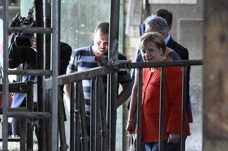 Angela Merkel besucht einen Milchbauernhof in Nienborstel