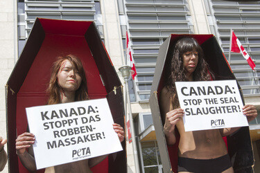 PETA Demonstration gegen das Robbenschlachten, Berlin