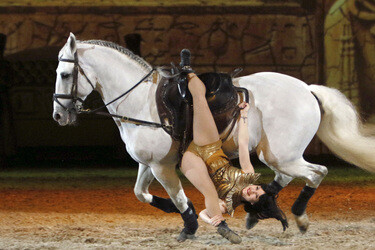 Apassionata Show 'Die goldene Spur', Dortmund