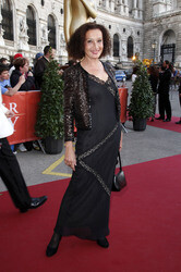 25. Romy Gala 2014, Wien