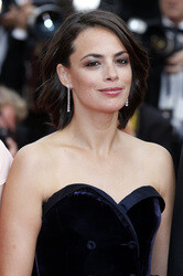'The Search' Premiere, Cannes Film Festival 2014