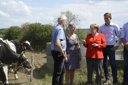 Angela Merkel besucht einen Milchbauernhof in Nienborstel