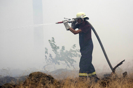 Waldbrandbekämpfung bei Treuenbrietzen