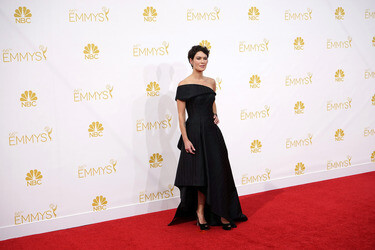 66. Primetime Emmy Awards, Los Angeles