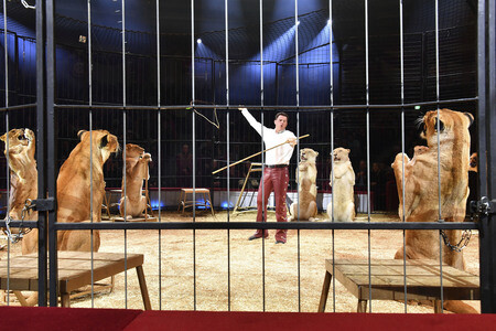 Circus Krone Premiere 'Ich.Du.Wir.Krone' in München