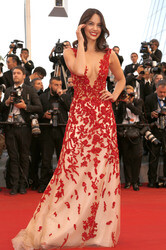 'The Sea of Trees' Premiere, Cannes Film Festival 2015