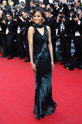 'Mr. Turner' Premiere, Cannes Film Festival 2014