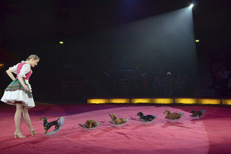 Premiere der 3. Winterspielzeit des Circus Krone in München