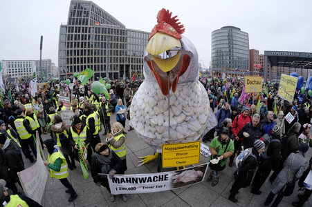 Demonstration 'Wir haben es Satt!' in Berlin