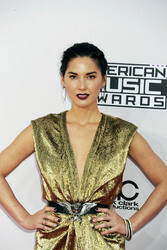 American Music Awards 2014, Los Angeles