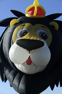 35. QuickChek New Jersey Festival of Ballooning in Readington