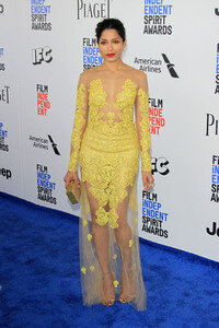 Film Independent Spirit Awards 2017 in Santa Monica