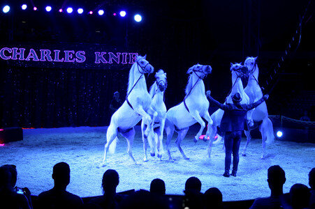 Premiere vom Circus Charles Knie in Hamburg