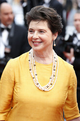 'Sicario' Premiere, Cannes Film Festival 2015