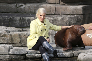 Walross Taufe im Tierpark Hagenbeck, Hamburg