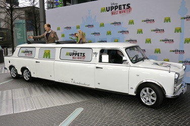 'Muppets Most Wanted' Photocall, Berlin