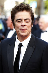 'Sicario' Premiere, Cannes Film Festival 2015