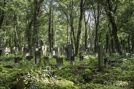 Symbolfoto Friedhof