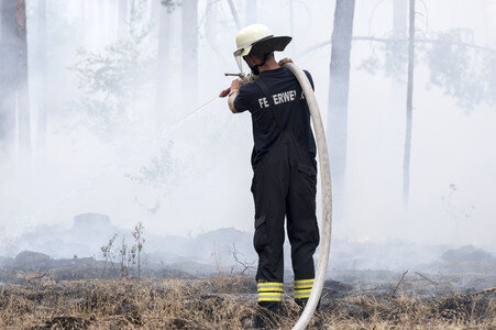 Waldbrandbekämpfung bei Treuenbrietzen