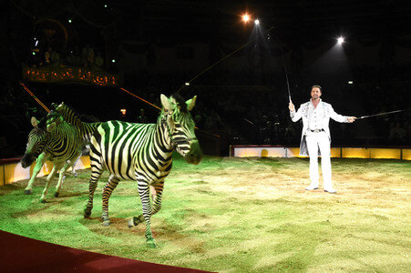 Premiere der 2. Winterspielzeit 2018 des Circus Krone in München