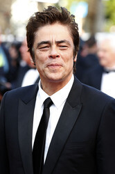 'Sicario' Premiere, Cannes Film Festival 2015