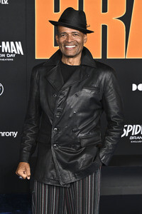 Filmpremiere 'Spider-Man: Brand New Day' in Los Angeles