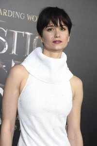 Filmpremiere 'Phantastische Tierwesen und wo sie zu finden sind' in New York