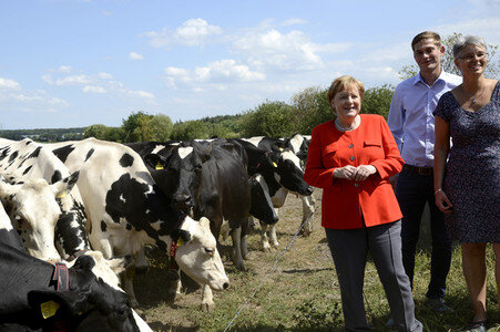 Angela Merkel besucht einen Milchbauernhof in Nienborstel