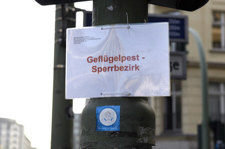 Geflügelpest in Berlin