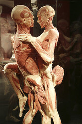 'Körperwelten - Eine Herzenssache' Pressekonferenz, Hamburg