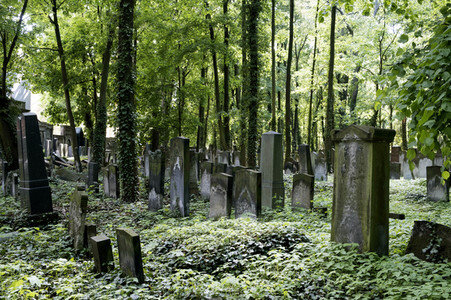 Symbolfoto Friedhof