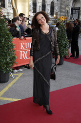 25. Romy Gala 2014, Wien