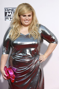 American Music Awards 2015