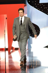 Donostia Award für Benicio Del Toro, San Sebastian Film Festival 2014